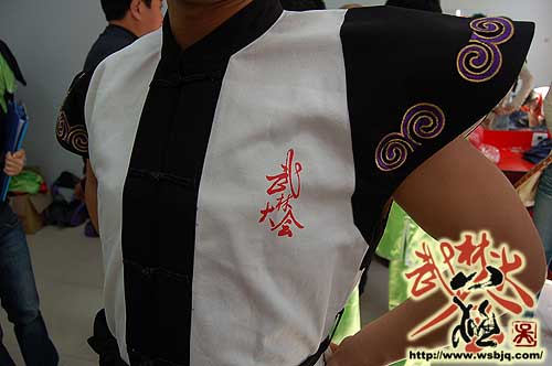 中华武术八极拳