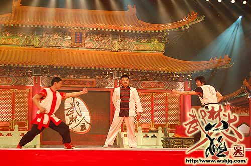 中华武术八极拳