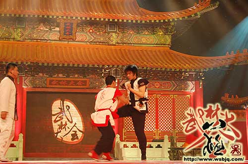 中华武术八极拳