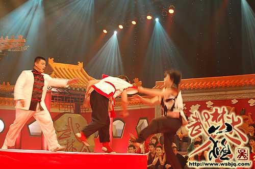 中华武术八极拳