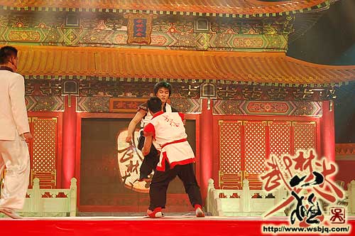 中华武术八极拳