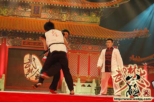 中华武术八极拳