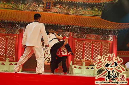 中华武术八极拳