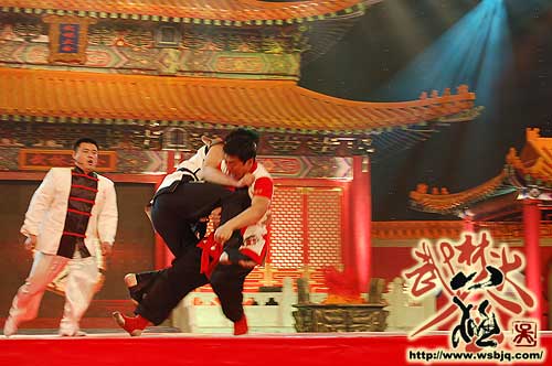 中华武术八极拳