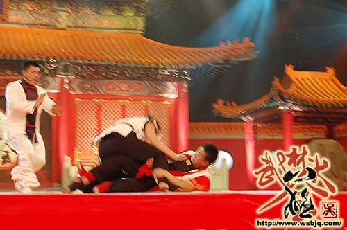 中华武术八极拳