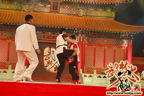 中华武术八极拳