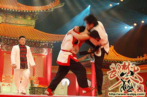 中华武术八极拳