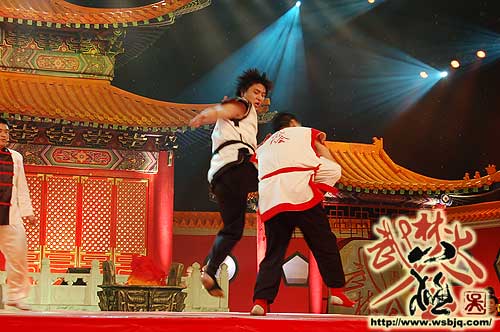 中华武术八极拳