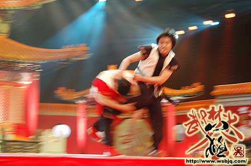 中华武术八极拳