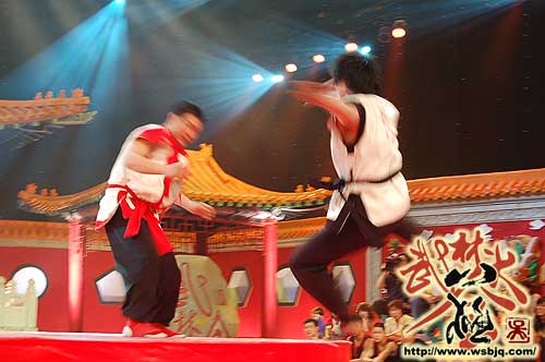 中华武术八极拳