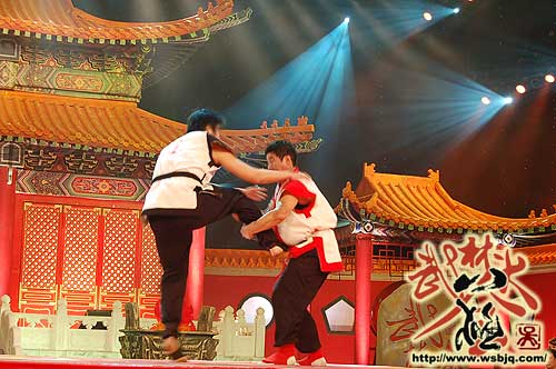 中华武术八极拳