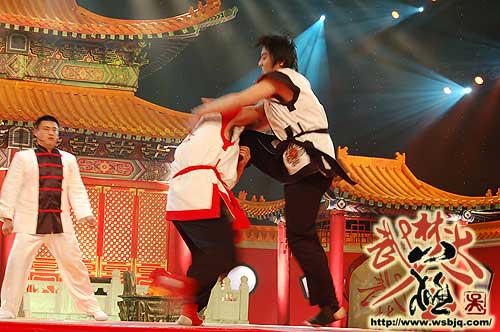 中华武术八极拳