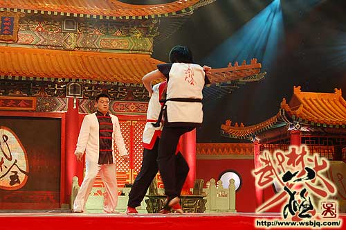 中华武术八极拳