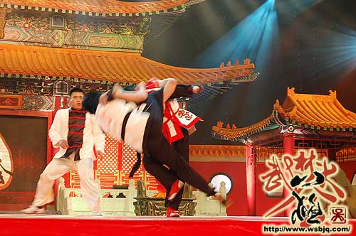 中华武术八极拳