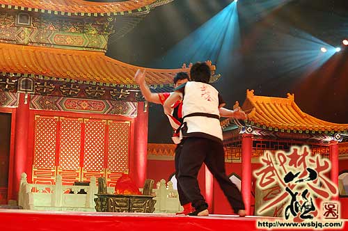 中华武术八极拳