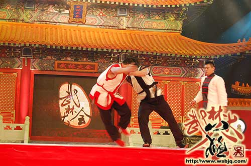 中华武术八极拳