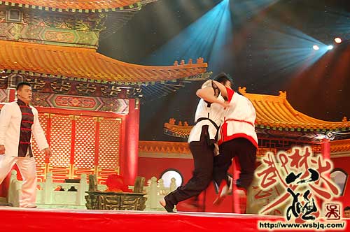 中华武术八极拳