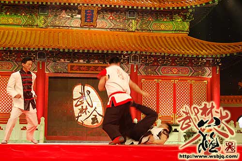 中华武术八极拳