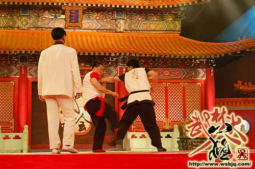 中华武术八极拳