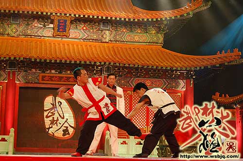 中华武术八极拳