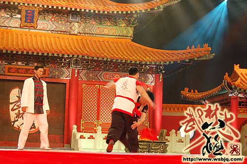 中华武术八极拳