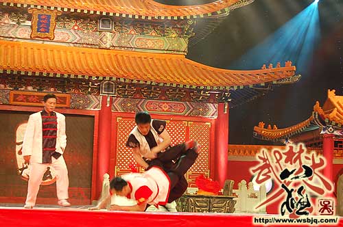 中华武术八极拳