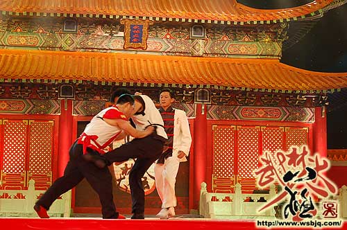 中华武术八极拳