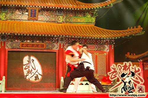 中华武术八极拳