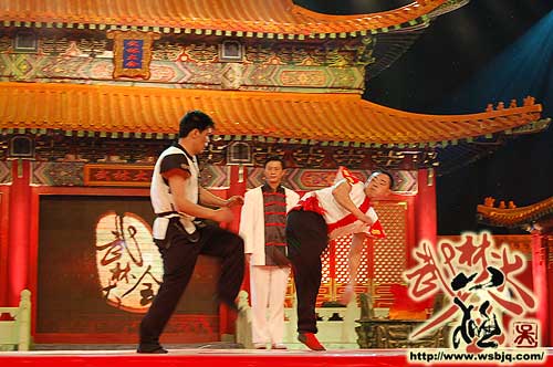 中华武术八极拳