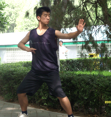 中华武术八极拳