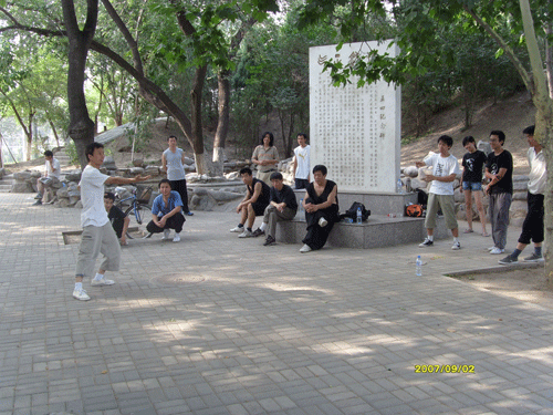 中华武术八极拳