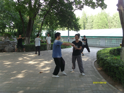 中华武术八极拳