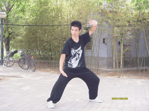 中华武术八极拳