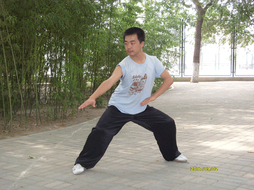 中华武术八极拳