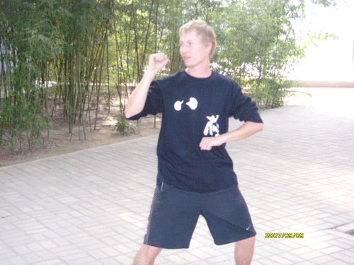 中华武术八极拳