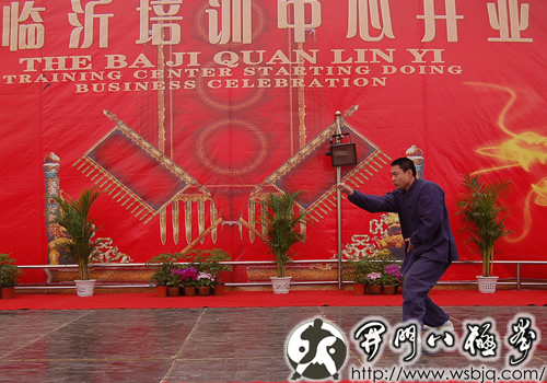 中华武术八极拳