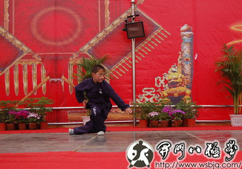 中华武术八极拳