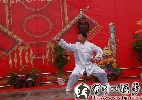 中华武术八极拳