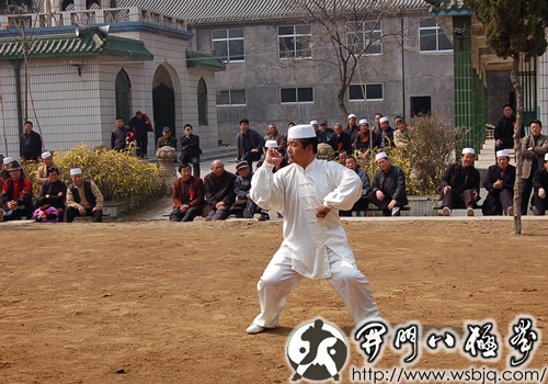 中华武术八极拳