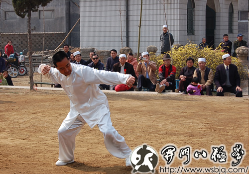 中华武术八极拳