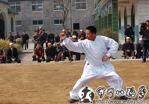 中华武术八极拳