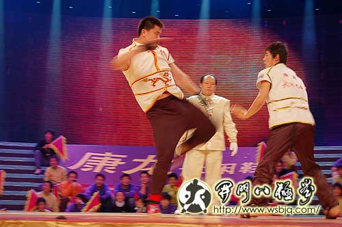 央视武林大会八极拳