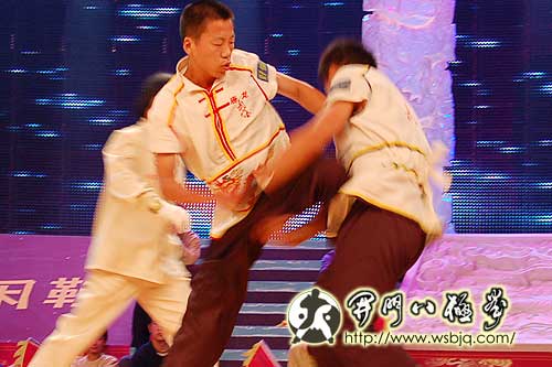 央视武林大会八极拳