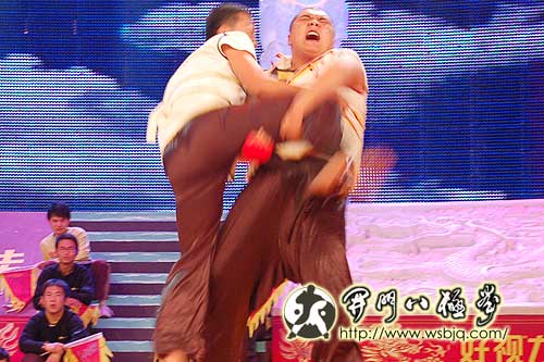 央视武林大会八极拳