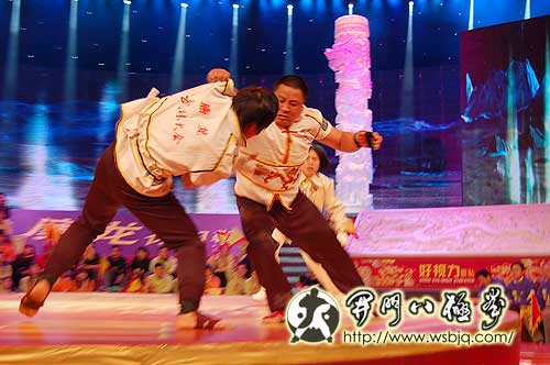 央视武林大会八极拳