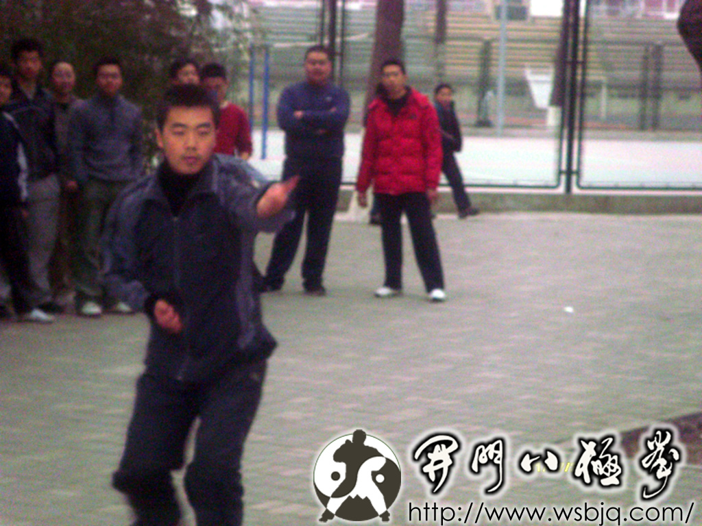 中华武术八极拳