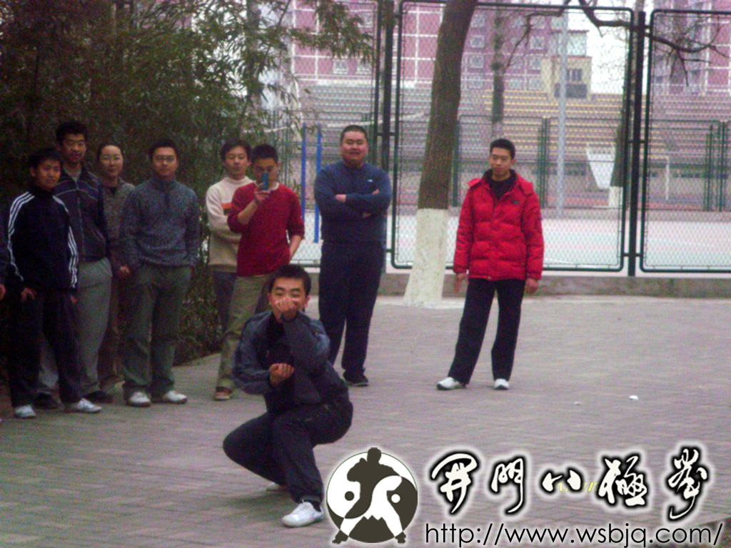 中华武术八极拳