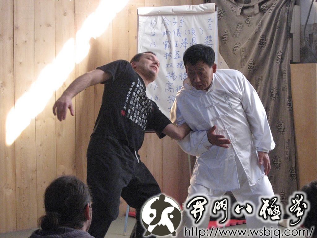 中华武术八极拳