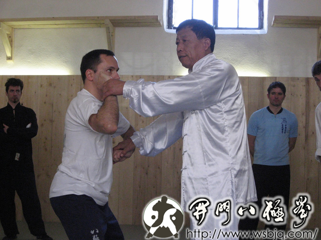 中华武术八极拳