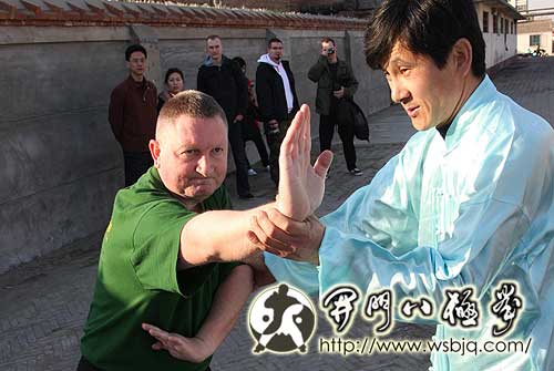 中华武术八极拳